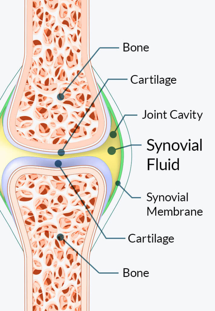 Joint health